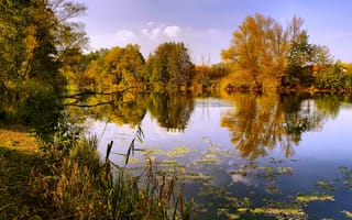 Картинка озеро, отражение, осень, тишина