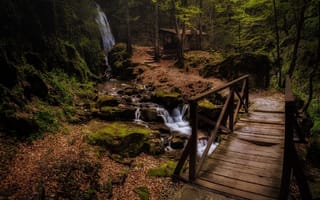 Картинка Весна в лесу, водопад, лес, Ivailo Bosev, ручей, мостик