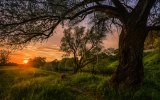 Картинка луга, деревья, вечер, Морозов Юрий, холмы, речка