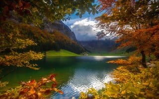 Картинка озеро, золото листьев, горы, Швейцария, Базанов Андрей, осень