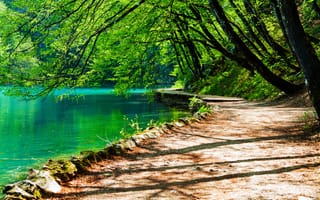 Картинка природа, зелень, пейзаж, дорожка, деревья, вода, озеро
