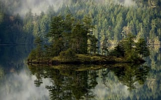 Картинка Лес, остров, озеро, туман, отражение