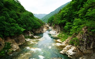 Картинка Япония, парк, скалы, природа, русло, камни, река