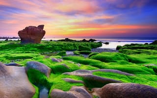 Картинка скала, Tuan Nguyen, вьетнам, море, водоросли, зеленый мох, камни
