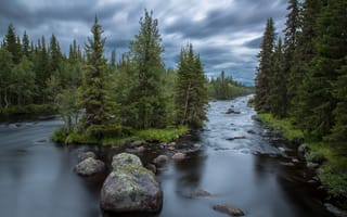 Картинка природа, камни, Jorn Allan Pedersen, река, тучи, лес, ели