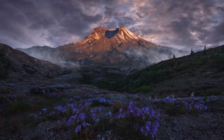 Картинка Victor Carreiro, цветы, вулкан, горы, пейзаж, природа