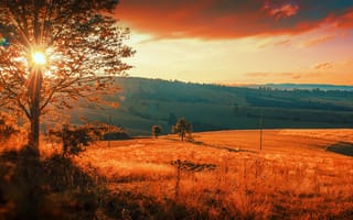 Картинка осень, солнце, природа, Mevludin Sejmenovic, холмы, деревья