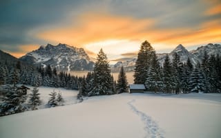 Картинка Зима, красиво, горы, природа, Австрия, снег, Альпы, леса