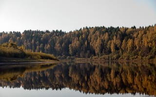 Картинка лес, берега, Кочетов Михаил, отражение