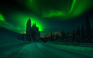 Картинка дороги, ночь, небо, Adnan Bubalo, зима, деревья, снег, северное сияние, природа