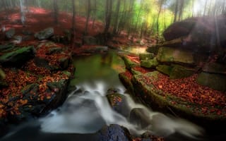 Картинка природа, листья, осень, лучи, ручей, лес, камни