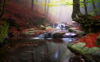 Обои природа, листья, камни, лес, водопад, осень, ручей