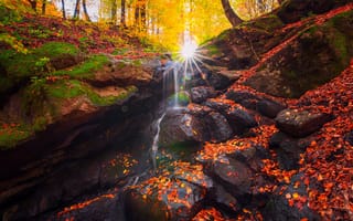 Картинка Saeed Younesi, ручей, лучи, солнце, осень, природа, лес, деревья, листья, камни