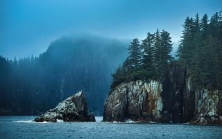 Картинка природа, туман, TJ Drysdale, деревья, птицы, вода