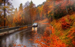 Картинка деревья, дороги, осень, авто, Гордеев Эдуард, природа, листья