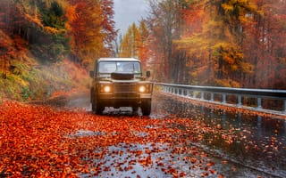 Картинка осень, листья, деревья, природа, туман, дороги, авто, Гордеев Эдуард