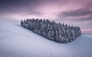Картинка природа, Зима, снег