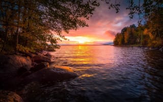 Картинка Закат, Tampere, осенний лес, Juuso Oikarinen, Finland, озеро Нясиярви
