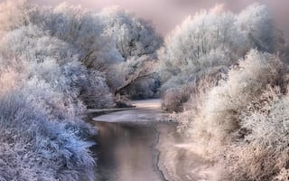 Обои зима, река, снег, лёд, природа, кусты, деревья, иней