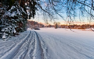 Картинка природа, снег, зима, колея, пейзаж, деревья