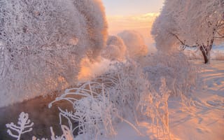 Картинка Гордеев Эдуард, природа, зима, деревья, рассвет, туман, снег, кусты, ручей, пар