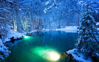 Картинка Швейцария, ели, лес, снег, природа, зима, озеро
