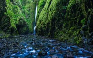 Картинка Камни, Скала, Oregon, Природа, Ручей, Мох