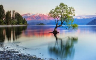 Картинка одинокое, озеро Ванака, Сергей Заливин, Новая Зеландия, южный остров