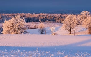 Картинка Снег, закат, лед, Kristaps Kitners, деревья, солнце, зима, латвия, поле, небо, облака