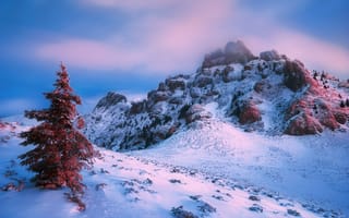 Картинка зимнее величие, горы, снег, небо, ель, Szabo Zsolt Andras