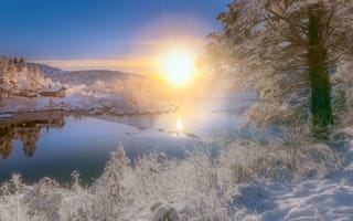 Картинка природа, деревья, утро, солнце, водоём, пейзаж, рассвет, зима