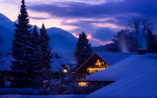 Картинка Бавария, Снег, Ночь, вечер, Ель