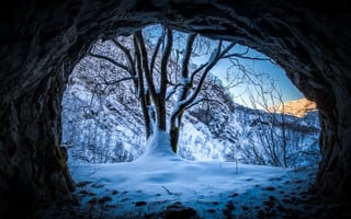 Картинка зима, горы, снег, Jorn Allan Pedersen, дерево, фотограф, пещера