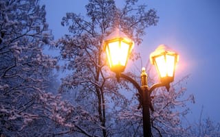 Картинка Зима, вечер