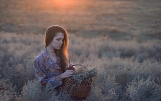 Обои девушка, длинные волосы, фотограф, высокая трава, катарина винниченко, поле