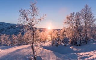Обои зима, Jorn Allan Pedersen, вечер, закат, деревья, снег