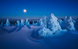Картинка снег, Szabo Zsolt Andras, сугробы, ели, зима, ночь, луна