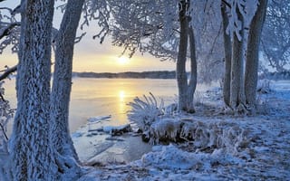 Обои природа, рассвет, деревья, зима, утро, иней, река, снег