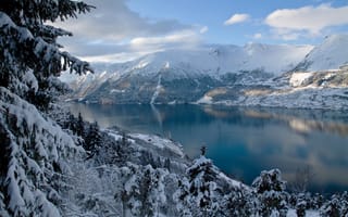 Картинка природа, деревья, Норвегия, фьорд, лес, зима, ели, горы