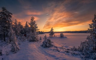 Картинка зима, Норвегия, закат, деревья, фотограф, Ole Henrik Skjelstad, снег, пейзаж
