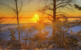 Картинка Ed Gordeev, закат, солнце, Вуокс, деревья, снег, небо