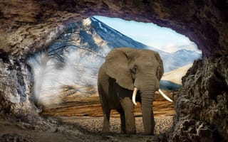 Картинка пещера, пейзаж, фотоманипуляция, слон