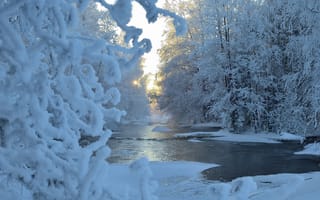 Картинка Hannu Koskela, снег, иней, река, зима, природа, деревья, утро
