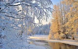 Картинка Hannu Koskela, ветки, утро, река, снег, природа, иней, зима, деревья