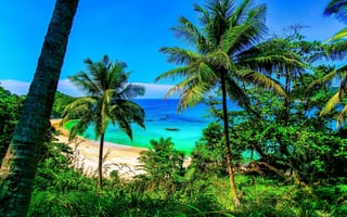 Обои пляж, океан, природа, пальмы, тропики