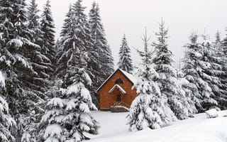 Картинка природа, Зима, Карпаты, Хуторок Тихий, снег, Украина