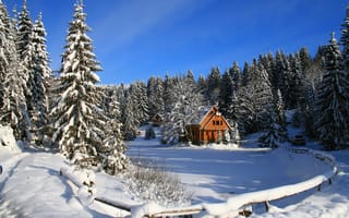 Картинка Зима, Карпаты, Украина, природа, ozerovita