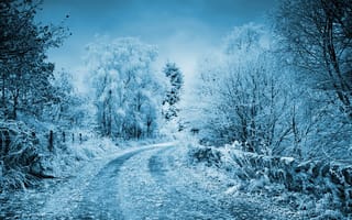 Картинка Зима, Снег, иней
