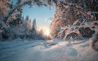 Картинка природа, пейзаж, Россия, Урал, лес, дорога, снег, зима