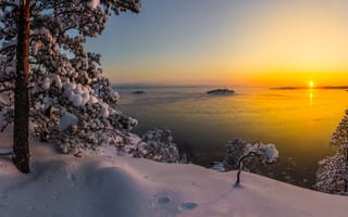 Картинка Vaschenkov Pavel, карелия, деревья, сосны, ладога, озеро, снег, зима